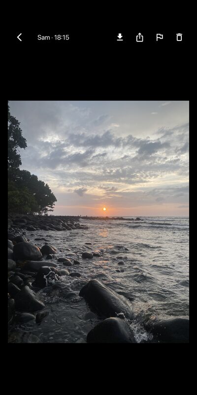 A photo open full screen, ready to save or share